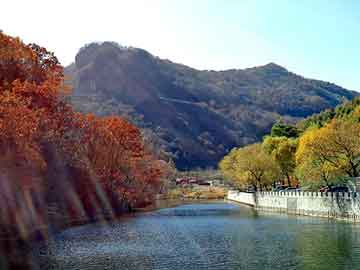 新澳门二四六天天开奖，今日柴油批发价格